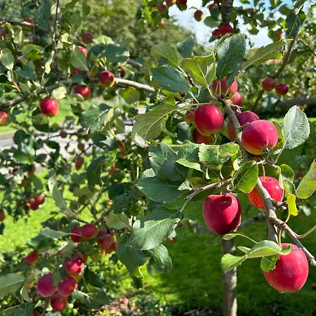 Casa Jakobsen Randers